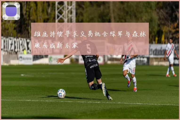 雄鹿持续寻求交易机会绿军与森林狼或成新东家